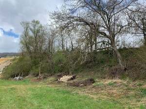 bild 13 20220411 1478533292