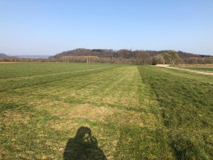 bild 4 20220411 2072473229