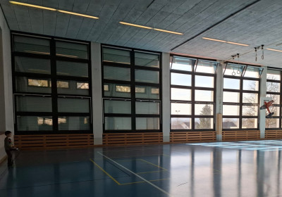 Hallenfliegen