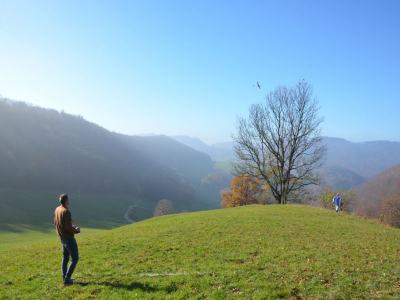 benken 2015  