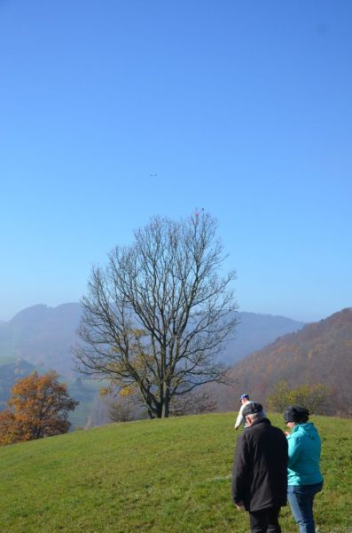 benken 2015  
