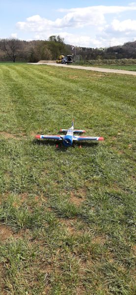 elbis 2022  