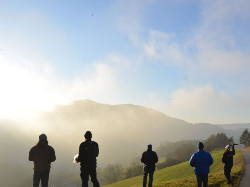 klausfliegen 2015  