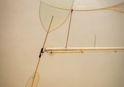 Saalflug in Auenstein 2026