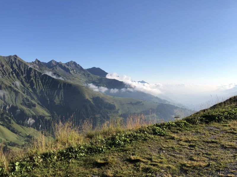 tschentenalp 20118  