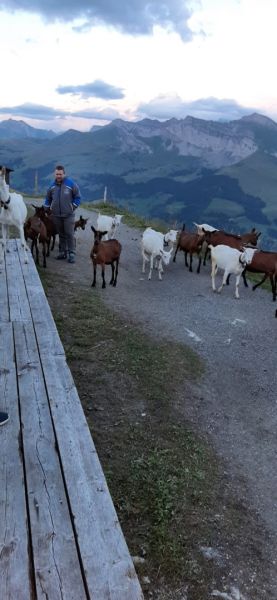 tschentenalp 2023  