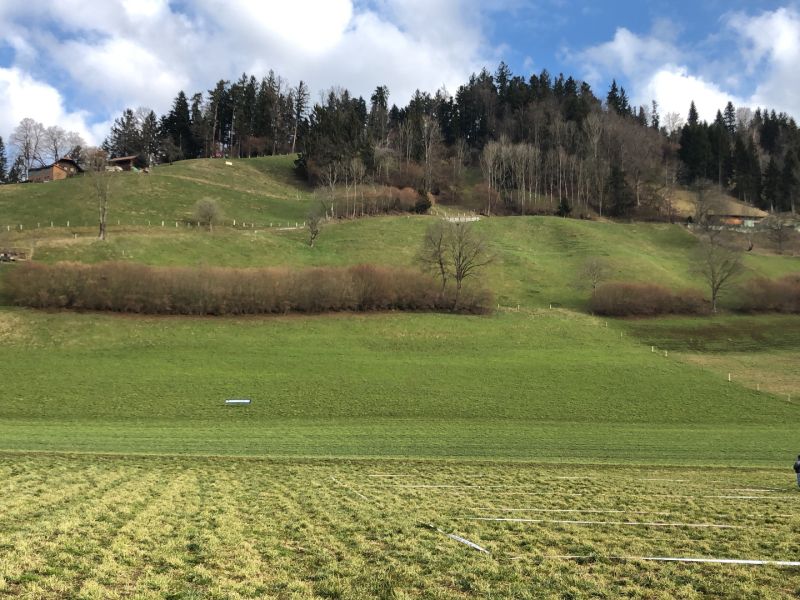 zaeziwiler 2018  
