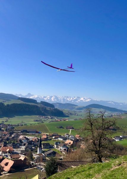 zaeziwiler 2019  