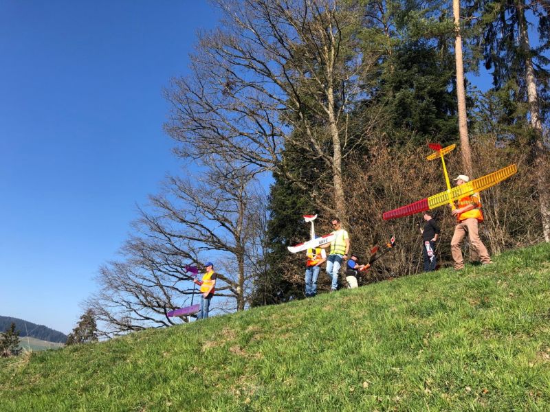 zaeziwiler 2019  